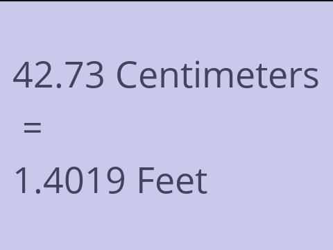 42.73 CM TO FEET