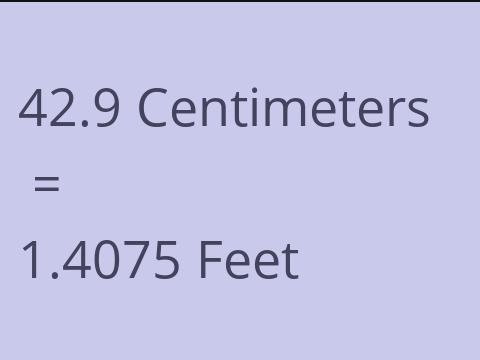 42.9 CM TO FEET