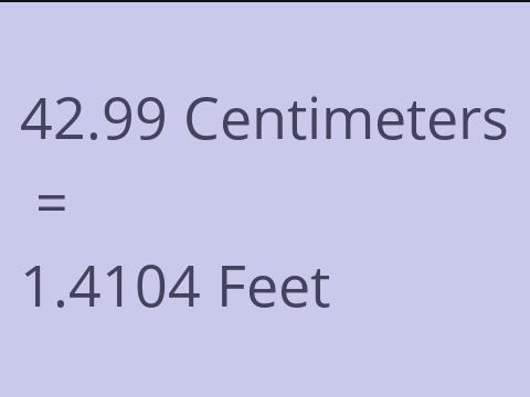 42.99 CM TO FEET