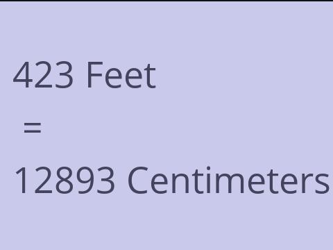 423 FEET TO CM