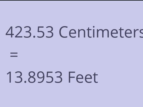 423.53 CM TO FEET