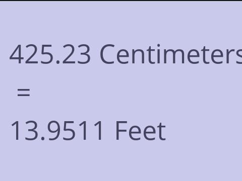 425.23 CM TO FEET