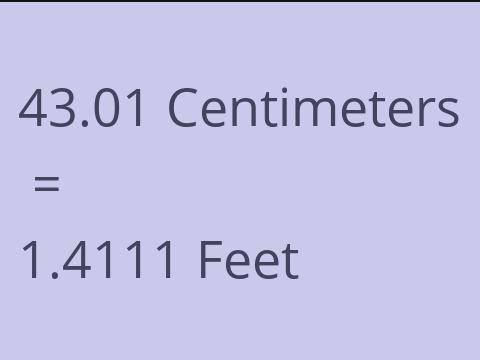 43.01 CM TO FEET