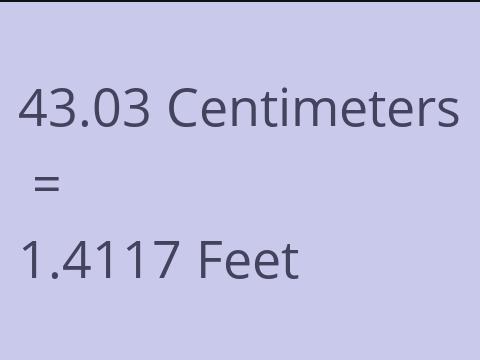 43.03 CM TO FEET