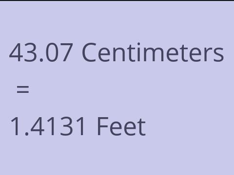 43.07 CM TO FEET