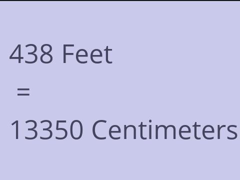 438 FEET TO CM