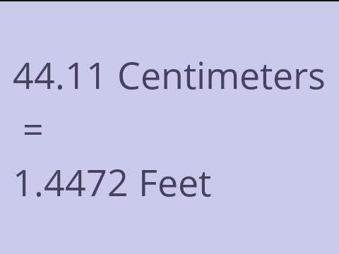 44.11 CM TO FEET