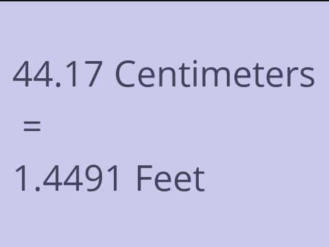 44.17 CM TO FEET