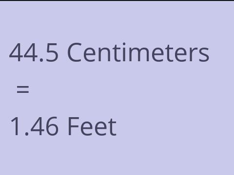 44.5 CM TO FEET