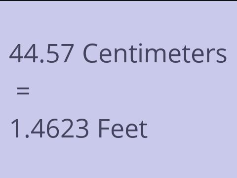 44.57 CM TO FEET