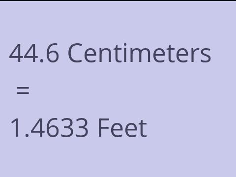 44.6 CM TO FEET