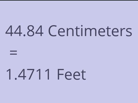 44.84 CM TO FEET