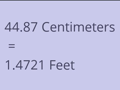 44.87 CM TO FEET