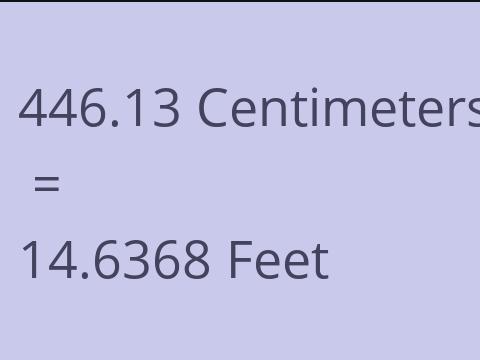 446.13 CM TO FEET