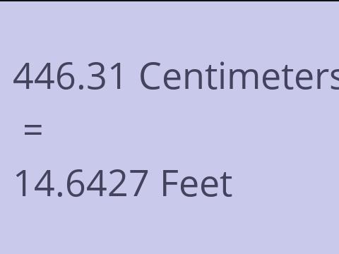 446.31 CM TO FEET