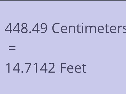 448.49 CM TO FEET