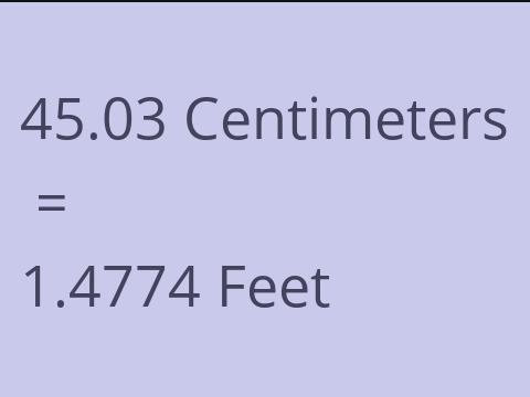 45.03 CM TO FEET