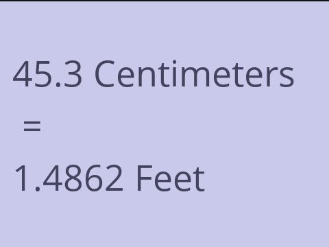 45.3 CM TO FEET