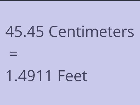 45.45 CM TO FEET