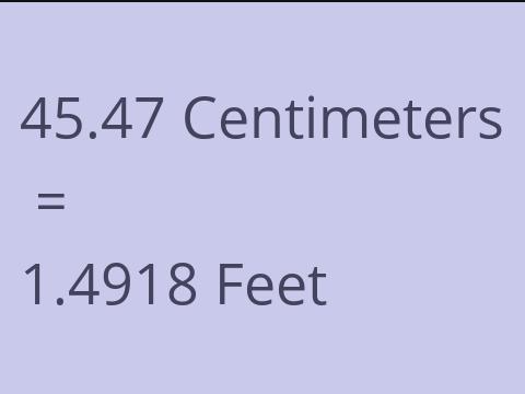 45.47 CM TO FEET