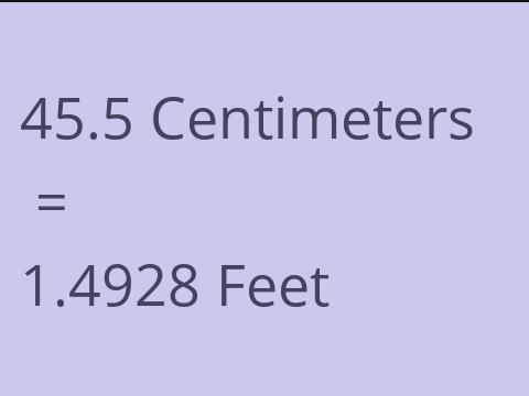 45.5 CM TO FEET