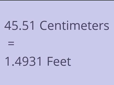 45.51 CM TO FEET