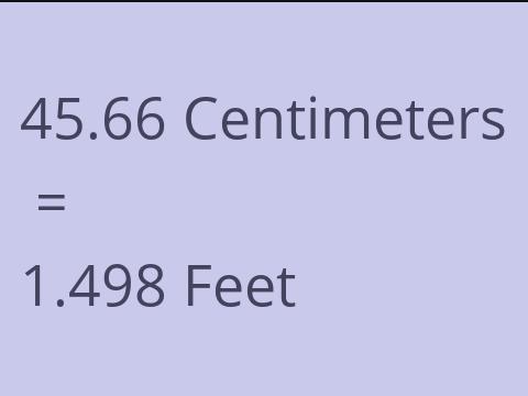 45.66 CM TO FEET