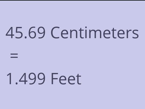 45.69 CM TO FEET