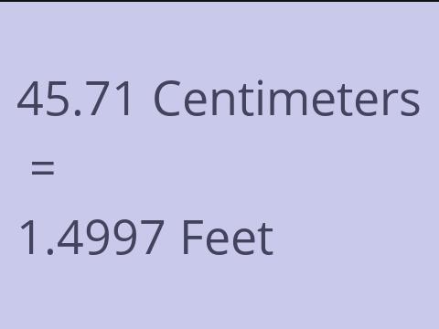 45.71 CM TO FEET