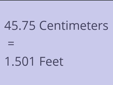 45.75 CM TO FEET