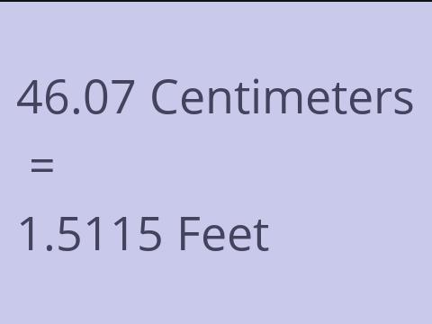 46.07 CM TO FEET