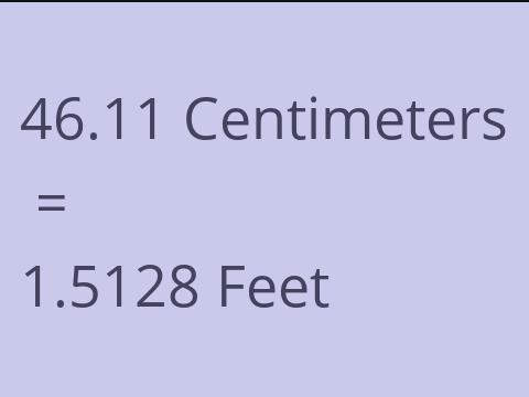 46.11 CM TO FEET