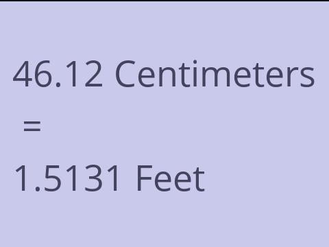 46.12 CM TO FEET