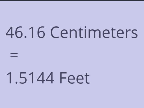 46.16 CM TO FEET