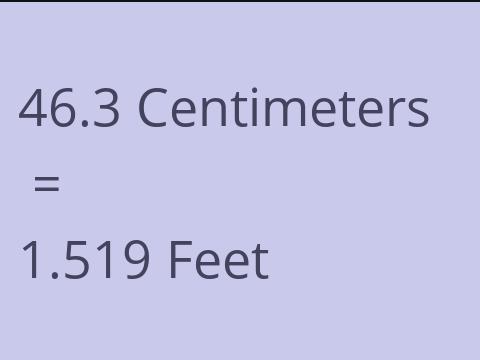 46.3 CM TO FEET