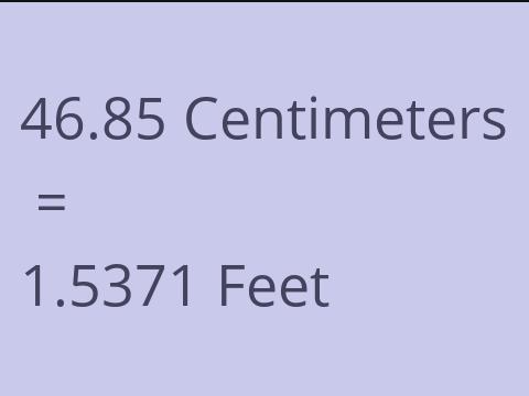 46.85 CM TO FEET