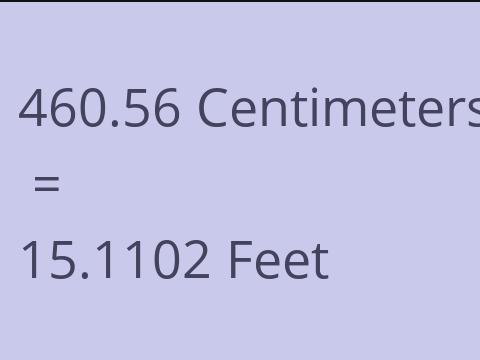 460.56 CM TO FEET