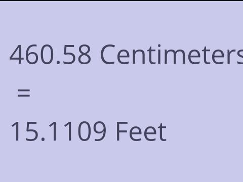 460.58 CM TO FEET