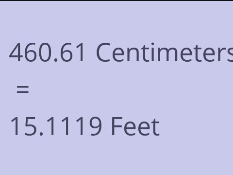 460.61 CM TO FEET