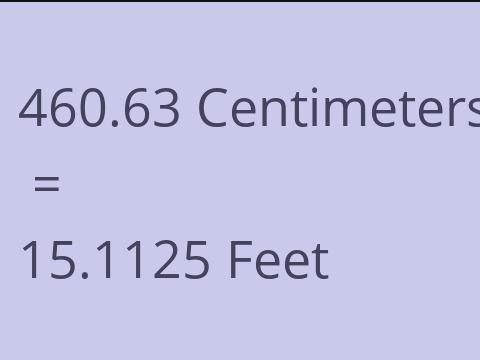 460.63 CM TO FEET