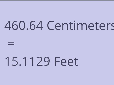 460.64 CM TO FEET