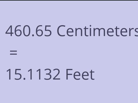 460.65 CM TO FEET