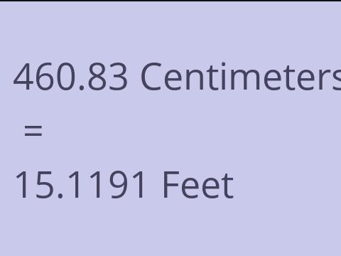 460.83 CM TO FEET