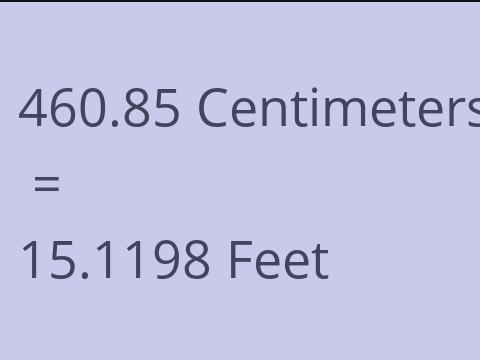 460.85 CM TO FEET