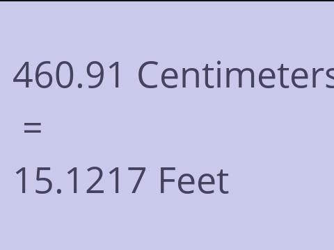 460.91 CM TO FEET