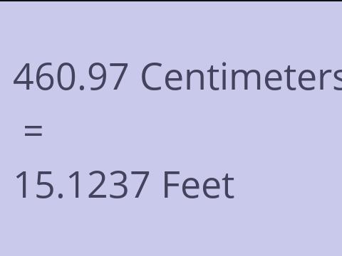 460.97 CM TO FEET