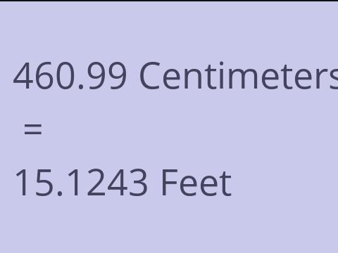 460.99 CM TO FEET