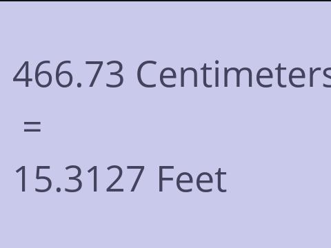 466.73 CM TO FEET