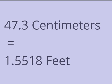 47.3 CM TO FEET