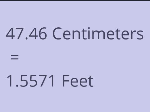 47.46 CM TO FEET